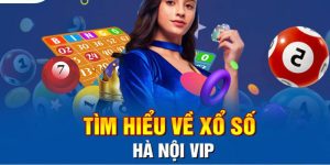 Xổ Số Hà Nội Vip - Kinh Nghiệm Chơi Xổ Số Cần Học Hỏi